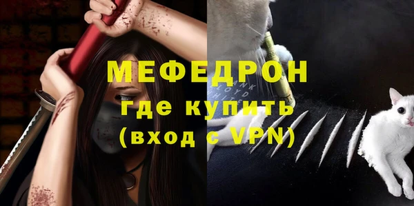 шишки Надым