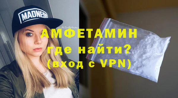 шишки Надым