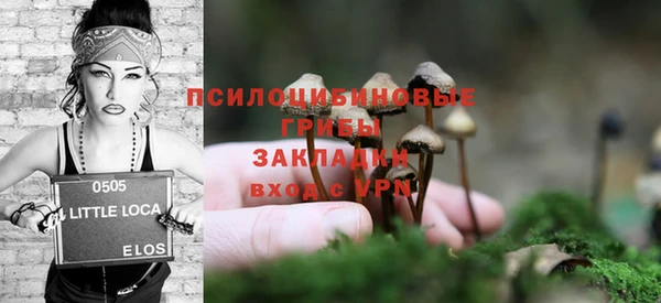 шишки Надым
