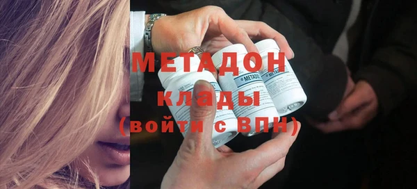 шишки Надым