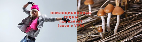 молекула духа Валуйки