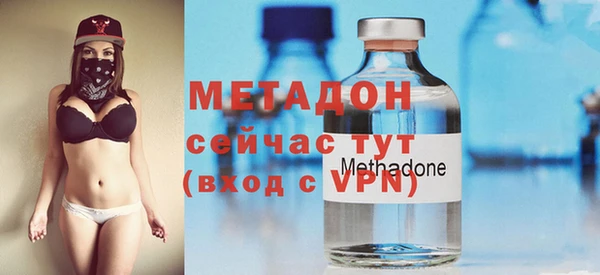 шишки Надым