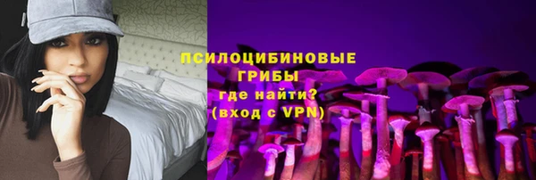 шишки Надым