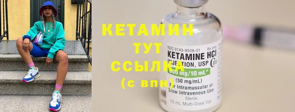 шишки Надым
