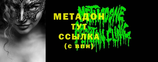 шишки Надым