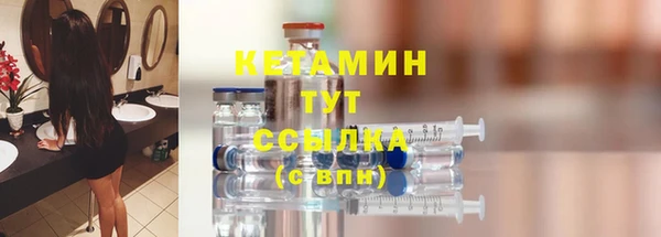 шишки Надым