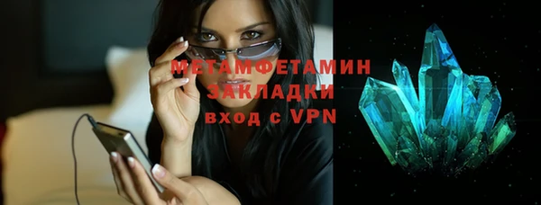 шишки Надым