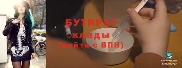 шишки Надым