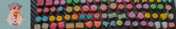 шишки Надым
