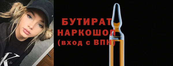 шишки Надым