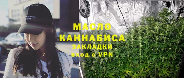 шишки Надым