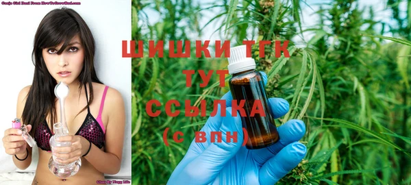 шишки Надым