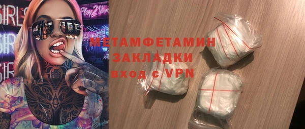 шишки Надым