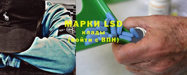 шишки Надым