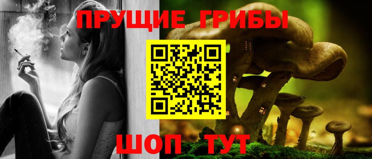 Галлюциногенные грибы GOLDEN TEACHER  Вход с VPN  Ржев 